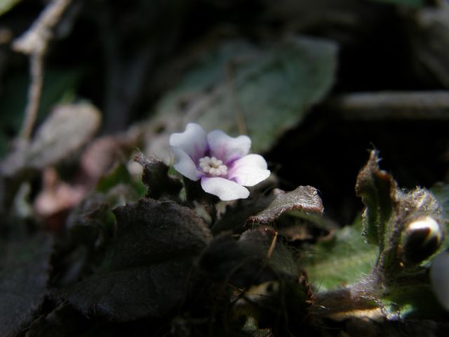 c0042869_926957.jpg