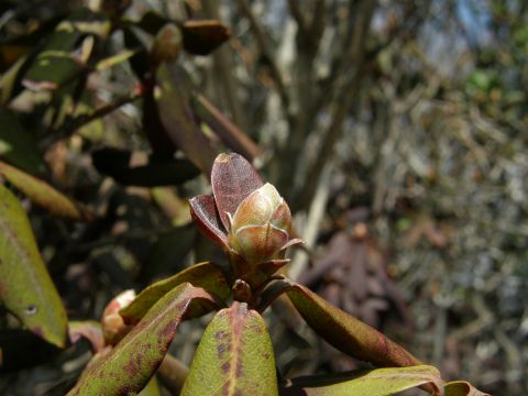 c0042869_932937.jpg