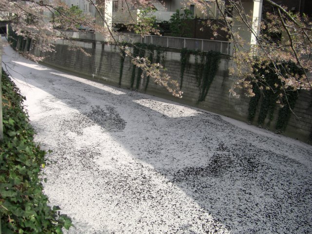 e0078069_23565417.jpg