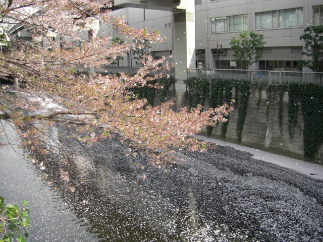 e0078069_2357095.jpg