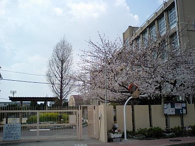 e0143671_9301871.jpg