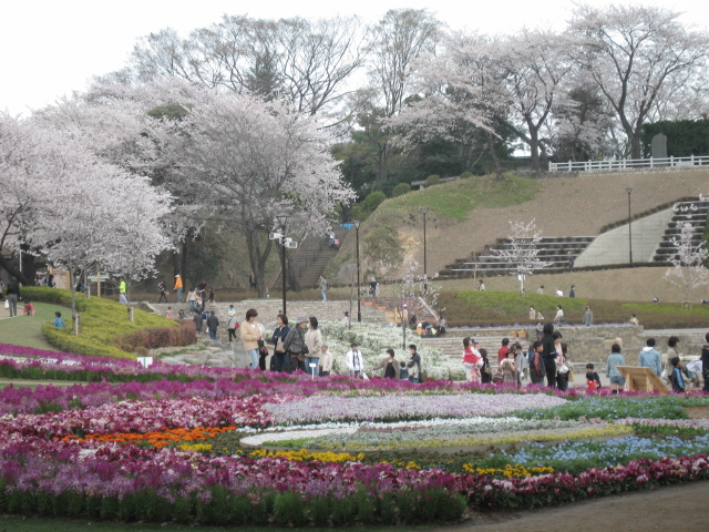 d0070473_014919.jpg