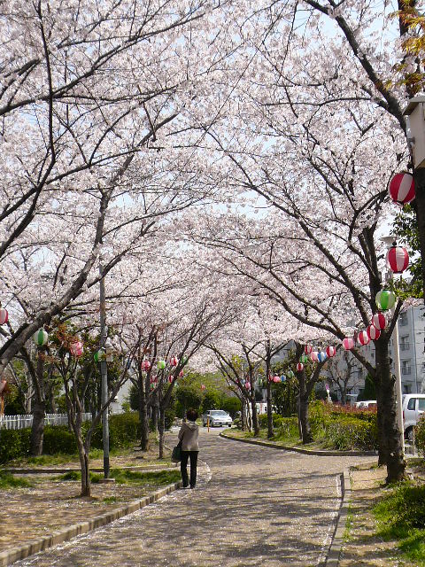 d0147774_14601.jpg