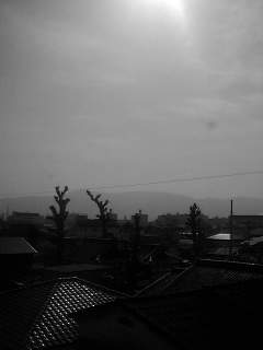 f0100480_20532245.jpg