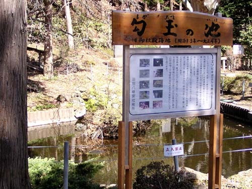f0092382_3235832.jpg