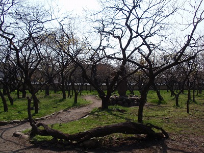 c0105785_1120711.jpg