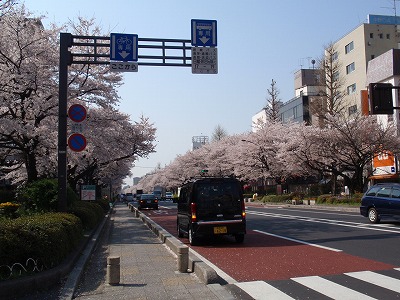 c0105785_8282651.jpg