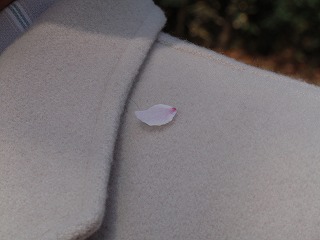 c0105785_9211939.jpg