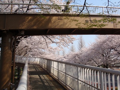 c0105785_9254073.jpg