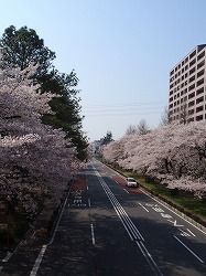 c0105785_9321486.jpg