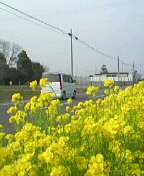 c0072589_4145272.jpg