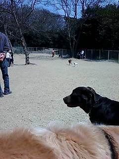 c0154793_2030275.jpg
