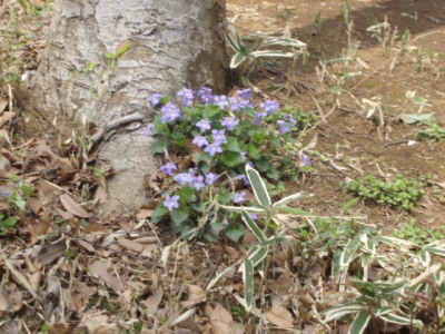 c0086895_2211245.jpg