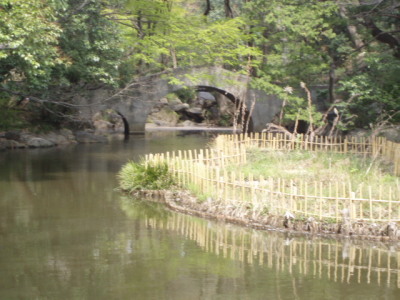 c0086895_22123183.jpg