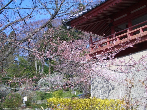 d0069498_10144314.jpg