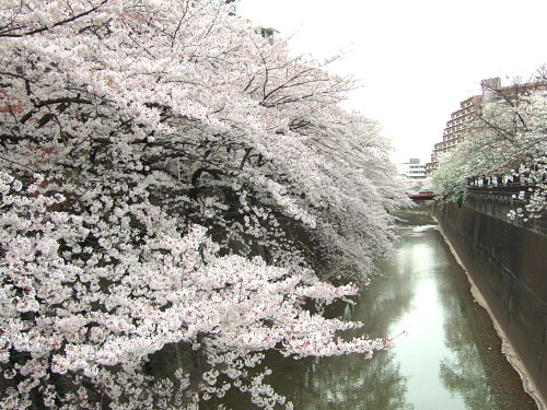 c0044199_2311785.jpg