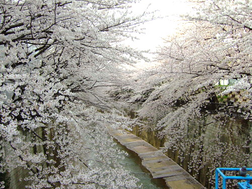 c0044199_2313272.jpg