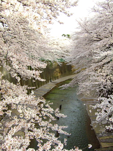 c0044199_231454.jpg