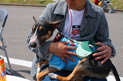 e0145805_2258989.jpg