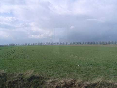 f0053506_13303738.jpg