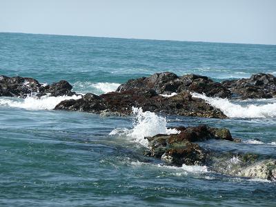 d0126708_1483931.jpg