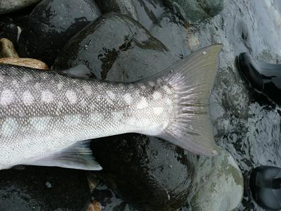 d0126708_1821880.jpg