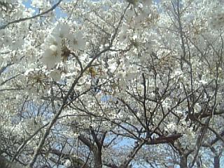e0098908_22284422.jpg