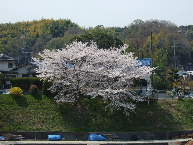 f0152308_17271761.jpg