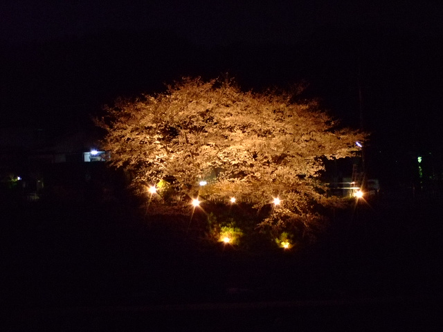 f0152308_17274513.jpg
