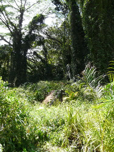 c0127909_15534151.jpg