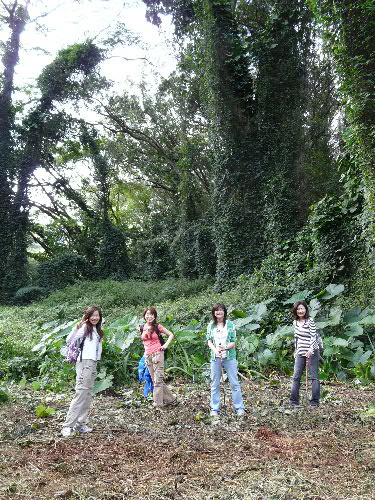 c0127909_15551922.jpg