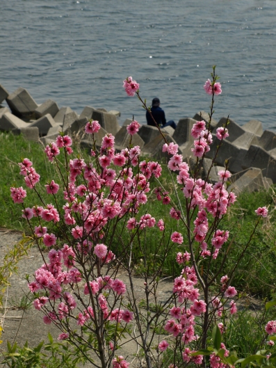 e0083212_16284614.jpg