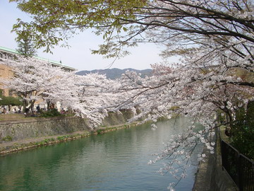 b0010914_21575048.jpg
