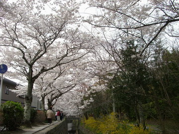 b0010914_21581620.jpg