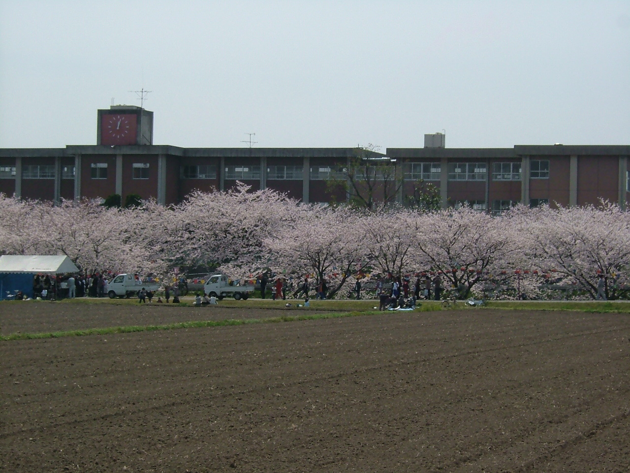 b0062214_17453760.jpg