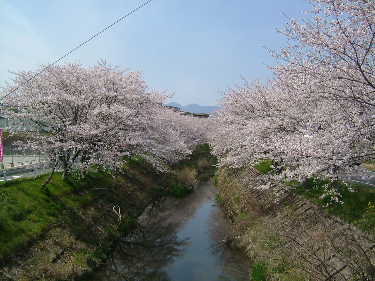 b0062214_17504494.jpg