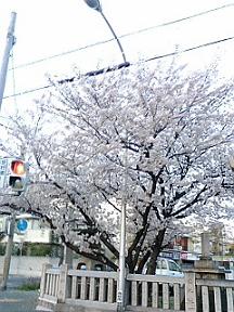 f0041115_250428.jpg