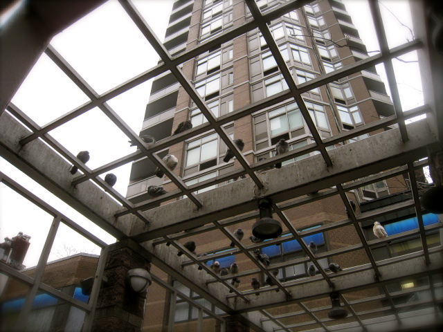 c0120817_2138333.jpg