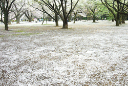 d0042618_23511183.jpg
