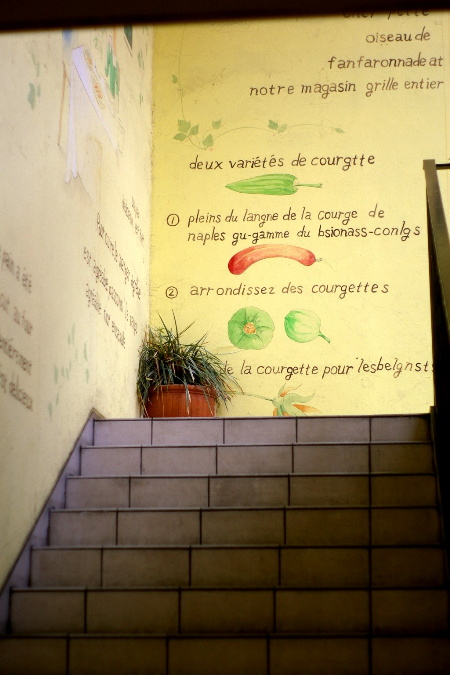 d0097318_6313454.jpg