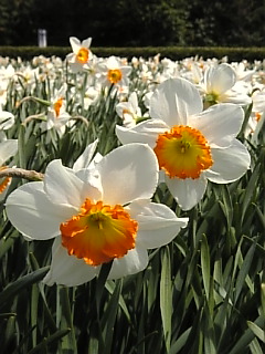 e0084224_14101475.jpg