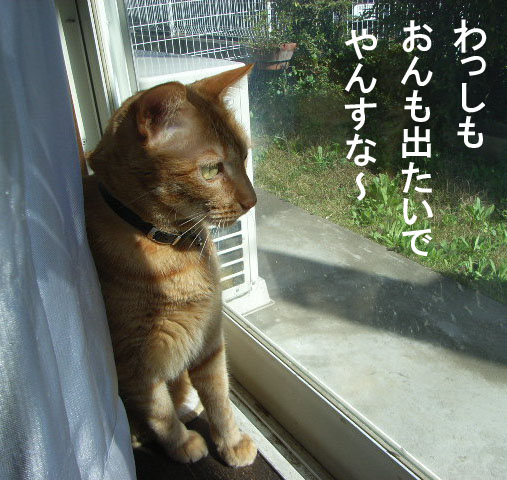 d0081025_20132040.jpg