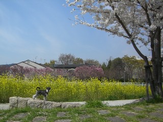 c0090534_11384210.jpg