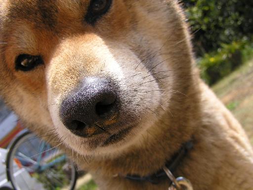 c0141335_21123796.jpg