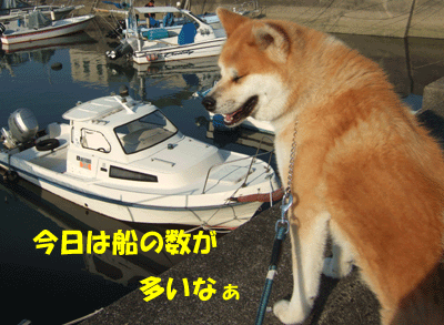 f0008935_23194316.gif