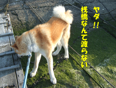 f0008935_23214438.gif
