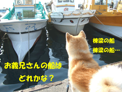 f0008935_2321767.gif