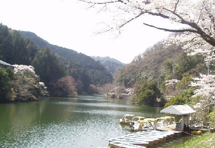 d0093936_2091364.jpg