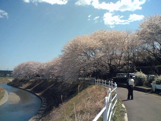 b0035937_21571655.jpg