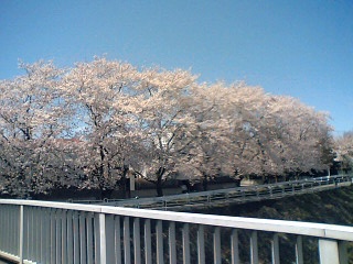b0035937_2204948.jpg